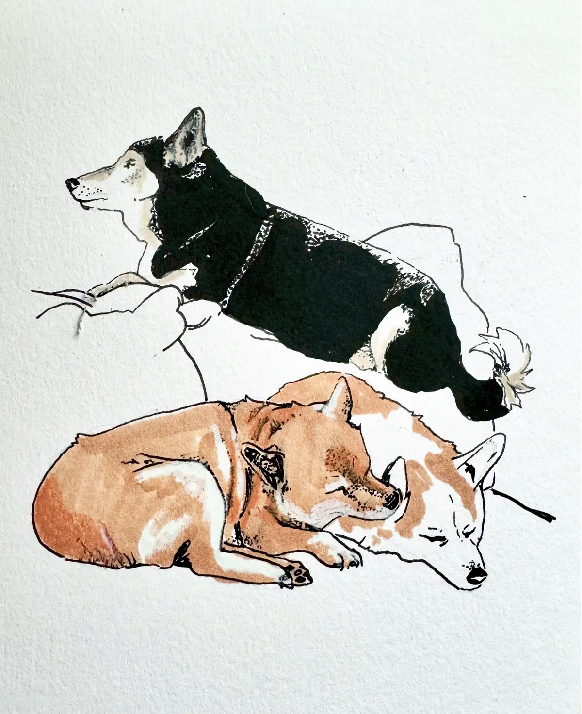 Dogsitter marker and ink work