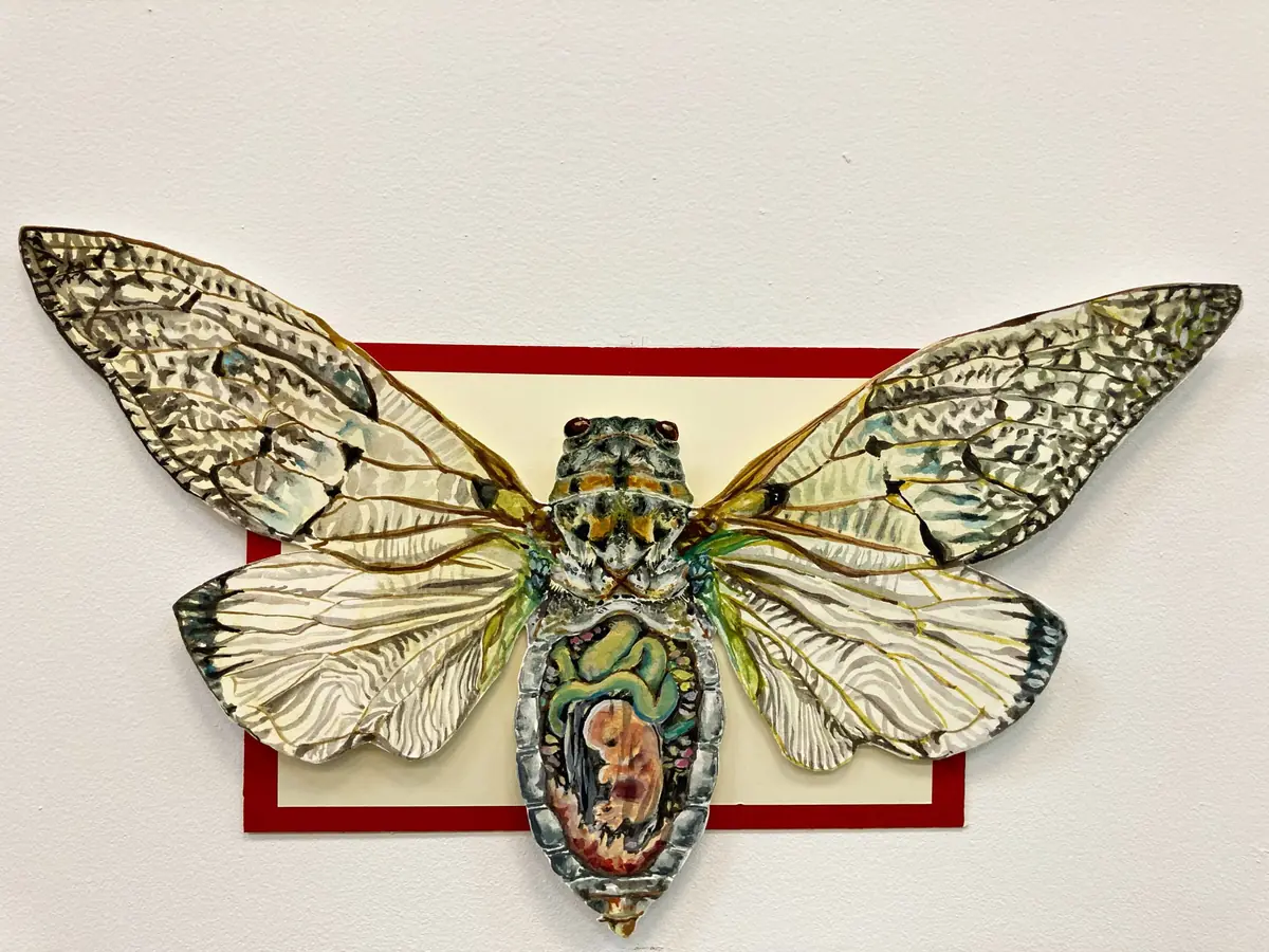 Dissection gouache work