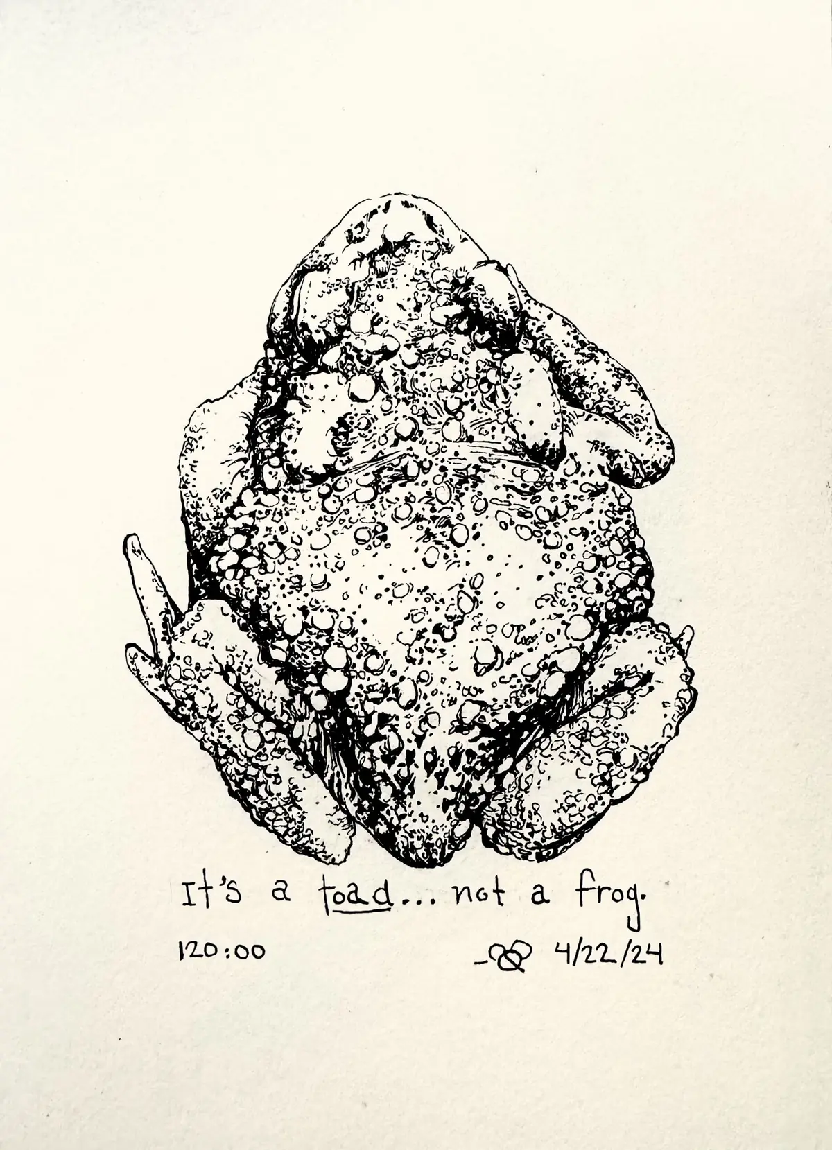 Toad ink work
